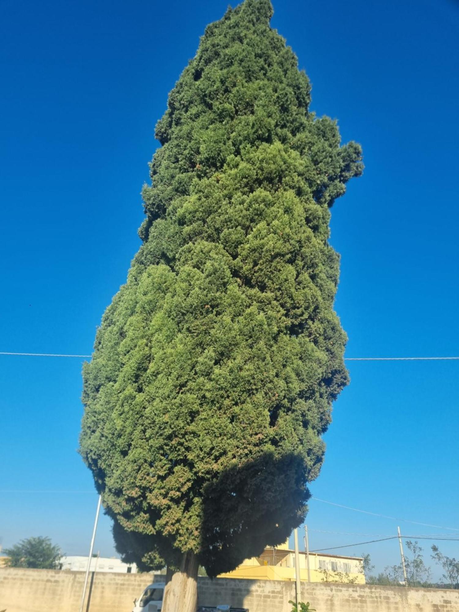 L'Albero Bello Holiday Mazara del Vallo Exterior photo